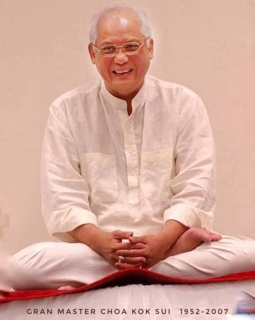 Immagine di Grand Master Choa Kok Sui